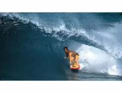 FCS II MR Twin Mark Richards Limited Edition Box Set -Pas Cher Side Shore Magasin fcs ii mr mark richards limited edition box set fcs 16