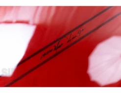 Levitator Type 2 - Tint + Volan + Polish - 9'2 X 23 1/4" X 2 7/8" - Single - Us Box -Pas Cher Side Shore Magasin levitator type 2 tint polish 92 x 23 14 x 2 78 single us box bing surfboards 14