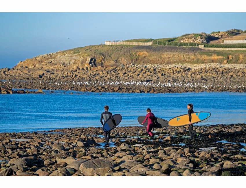 Meteor 6'4" 20 Meteor 6'4" – Image 20