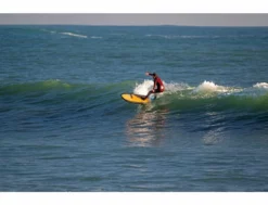 Meteor 7'0" -Pas Cher Side Shore Magasin meteor 70 bic sport tahe 12