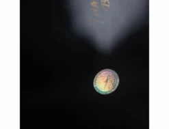 Rorry Russel - Pipeliner - 7'8 - Single - Us Box -Pas Cher Side Shore Magasin rorry russel pipeliner 78 single us box lightning bolt 19