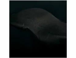 Manera X10D Boots - 3mm - Split Toe - 2023 -Pas Cher Side Shore Magasin x10d boots 2022 manera 16